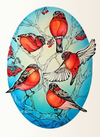 Снегирь рисунок