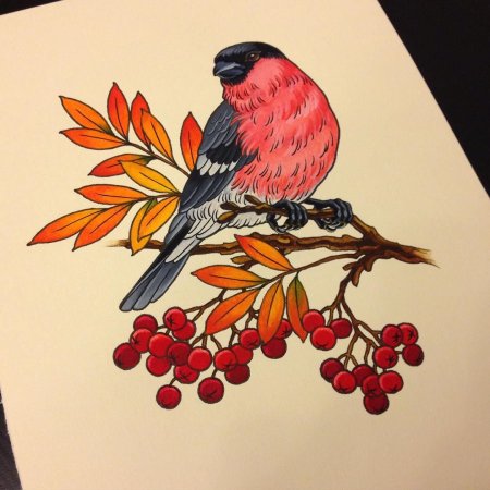 Снегирь набросок