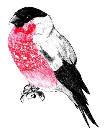 Снегирь рисунок