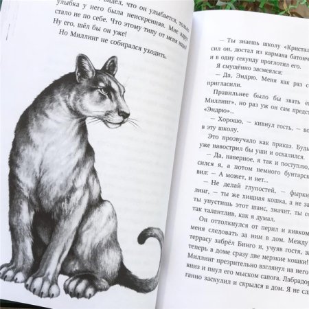 Дети леса книга превращение Карага