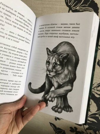 Дети леса книга превращение Карага