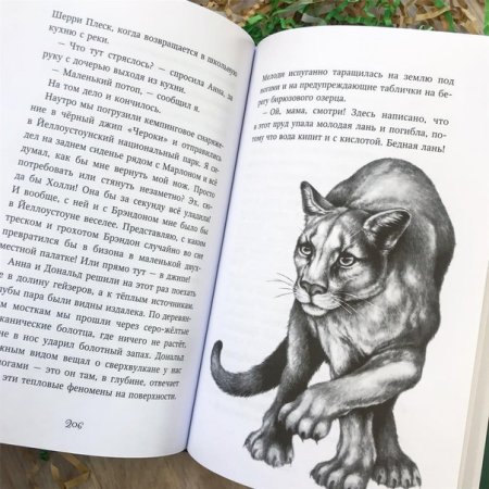 Персонажи книги дети леса