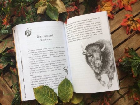 Брандис Катя "месть Пумы"