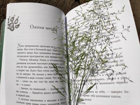 Дети моря книга Катя Брандис 3 часть