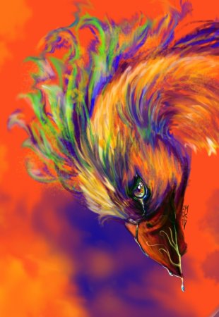 Семицветный Феникс
