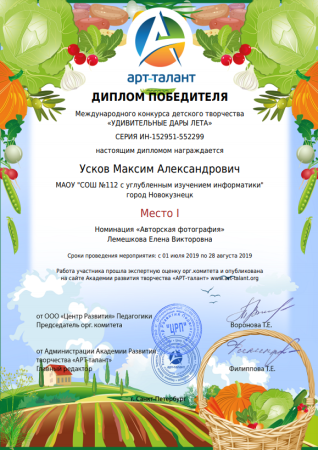 Арт талант дипломы