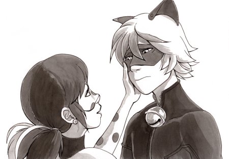 Леди баг и супер-кот