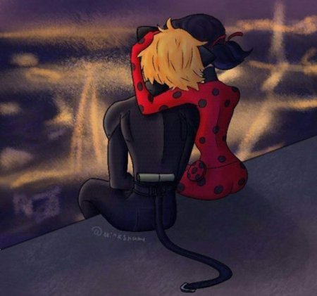 Супер кот плачет