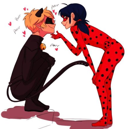 Леди баг и кот Ноир