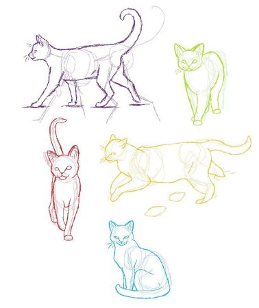 Кошка сбоку референс