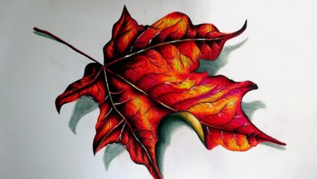 Кленовый лист цветными карандашами