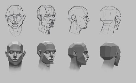 Голова сбоку референс