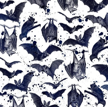 Летучая мышь арт