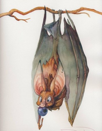 Летучая мышь арт