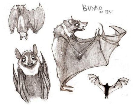 Летучая мышь референс