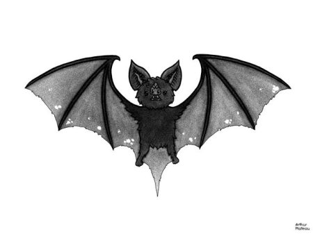 Летучая мышь арт