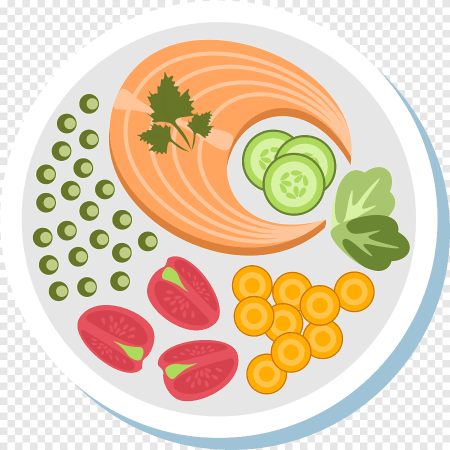 Правильное питание вектор