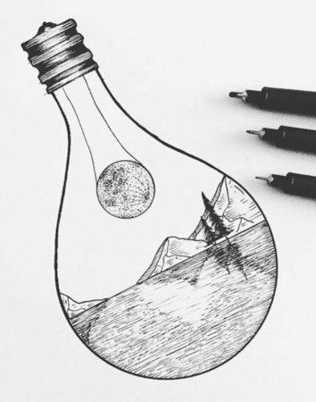 Зарисовки природных форм