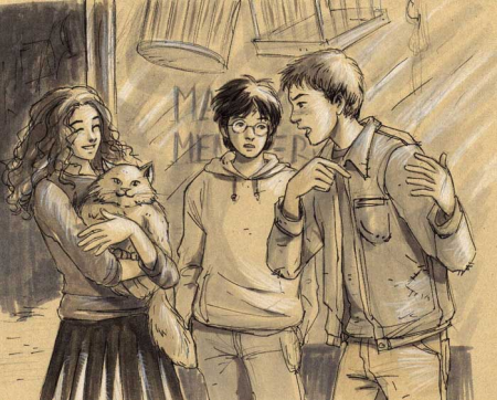 Гарри Рон Гермиона философский камень арт