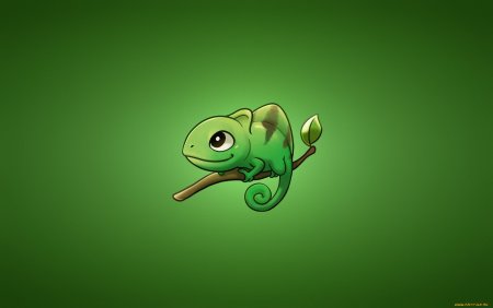 Хамелеон Минимализм