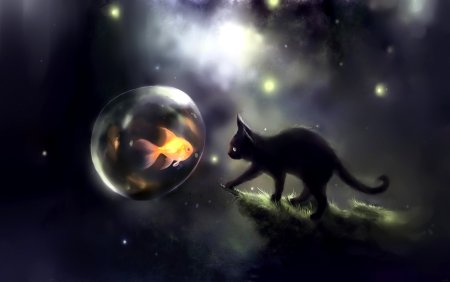 Фэнтези кошки