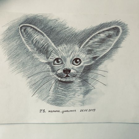 Егор Матита рисунки