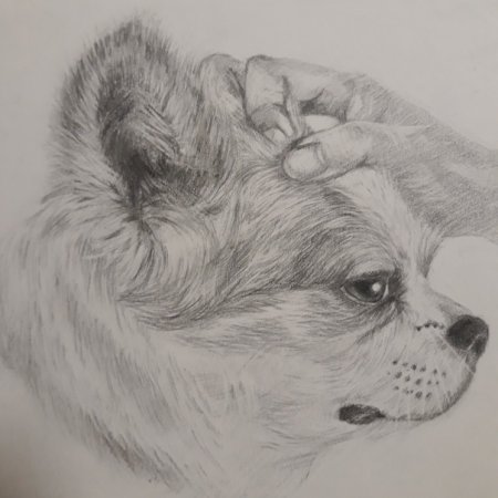 Скетчи для рисования