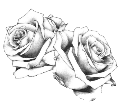 Черная роза с шипами