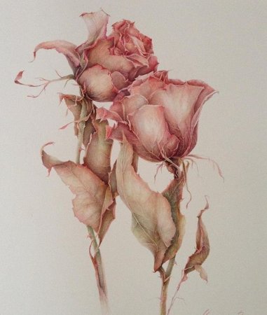 Эскизы цветные