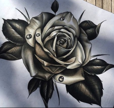 Цветы Графика на прозрачном фоне