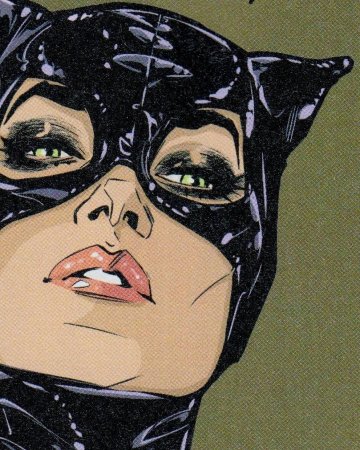 Поп арт Catwoman Batman