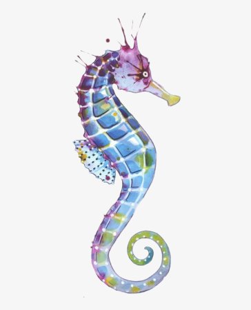 Карл э. "морской конёк"