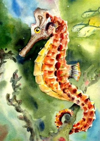 Морской конек акварель