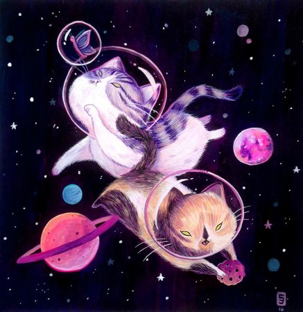 Милые космические котики