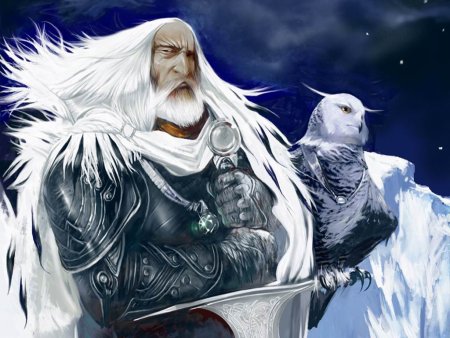 Фэнтези седой Король