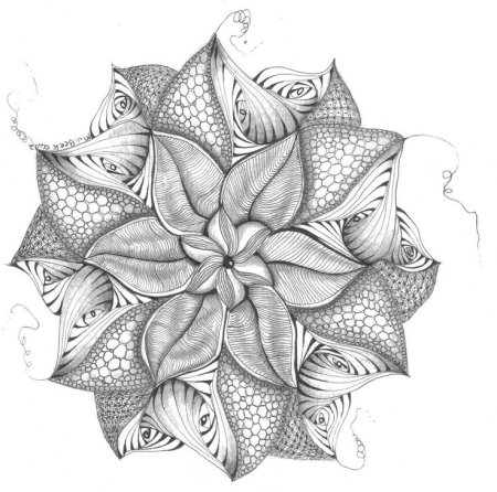 Зентангл узоры парадокс