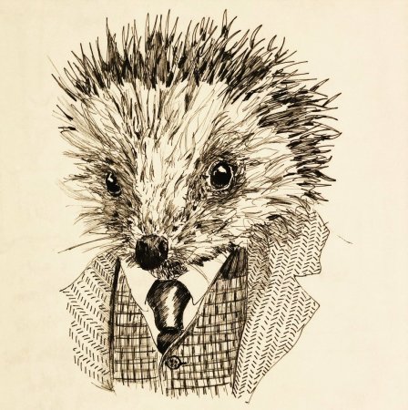 Ежик Графика