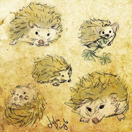 Ежик рисунок