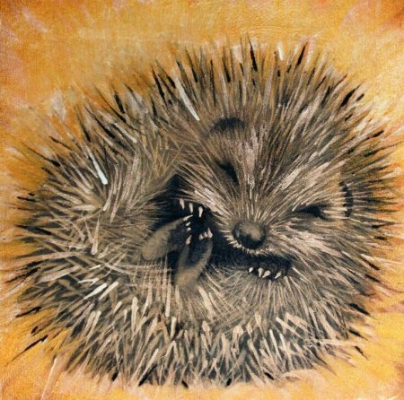Ежик арт