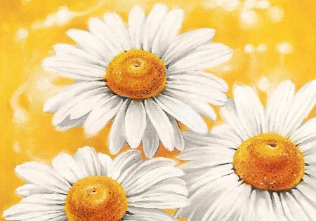 Алмазная мозаика ромашки Гранни