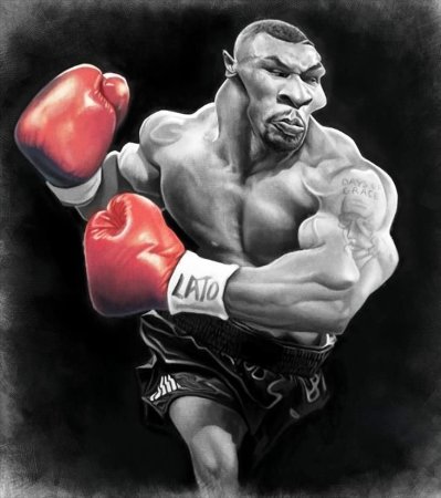Тайсон арт боксер