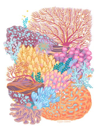 Кораллы иллюстрация