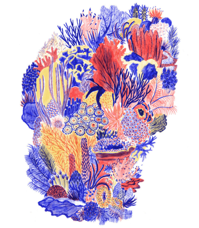 Кораллы Акварельные