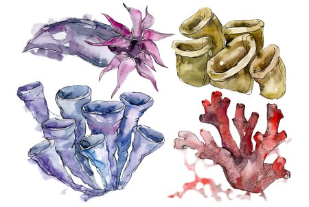 Кораллы акварель