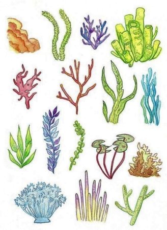 Подводные растения