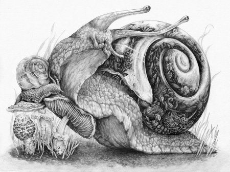 Современные художники графики