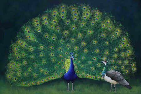 Императорские Павлины