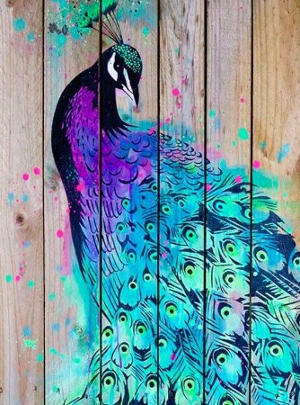 Павлин акриловыми красками