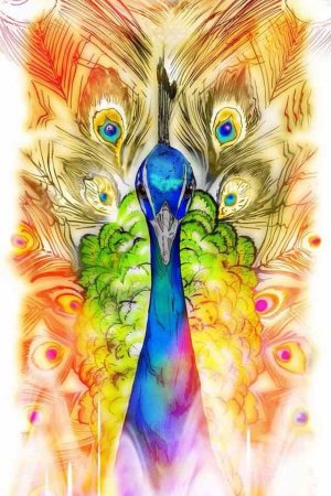 Перо Жар птицы акварель