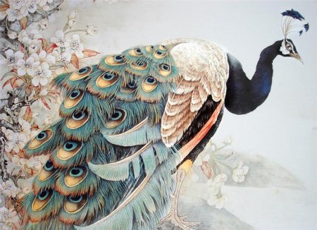 Павлин китайская живопись